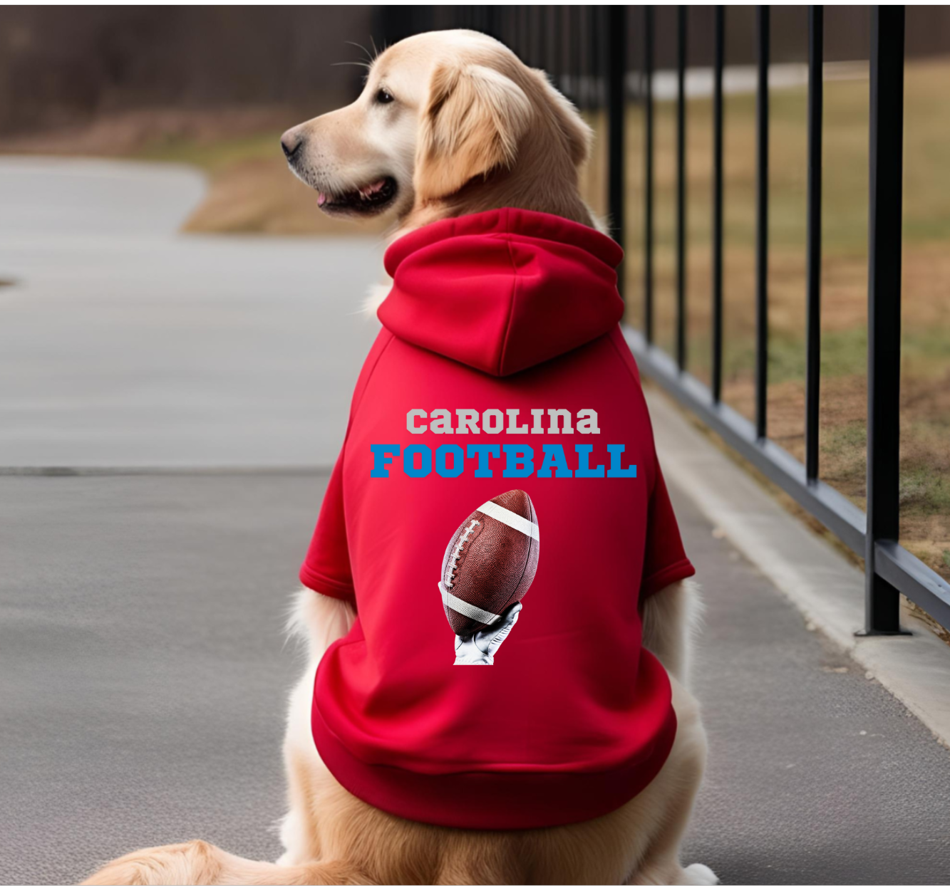 Carolina Football