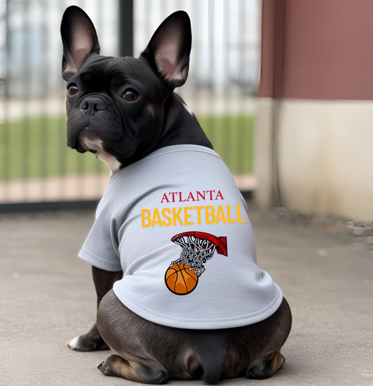 Atlanta Basketball