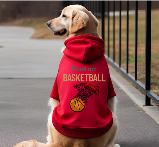 Boston Basketball