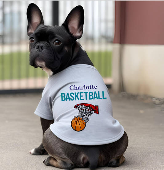 Charlotte Basketball