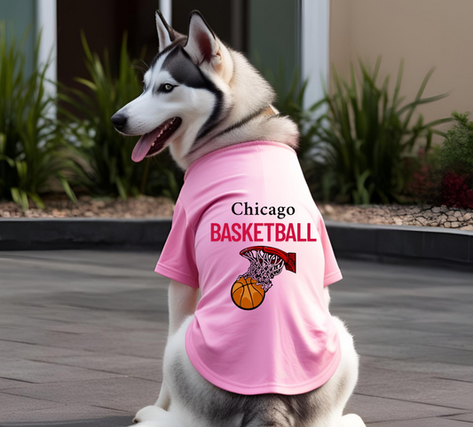 Chicago Basketball