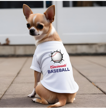 Cincinnati Baseball