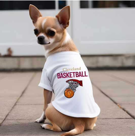 Cleveland Basketball