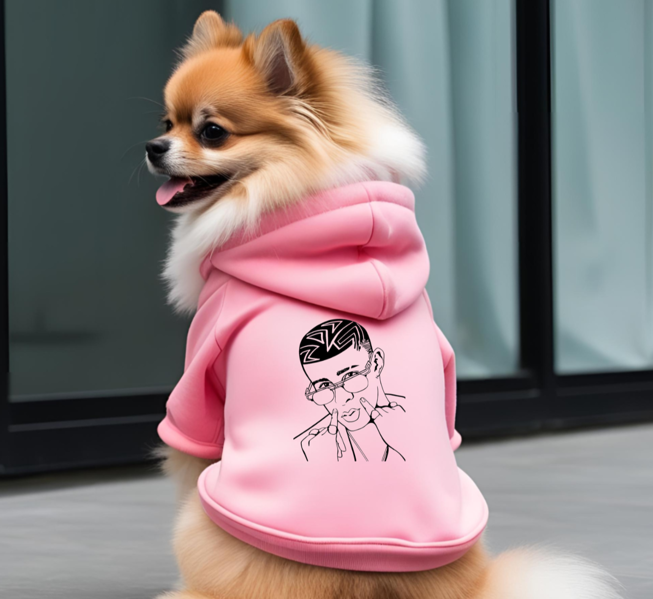 Conejo Malo