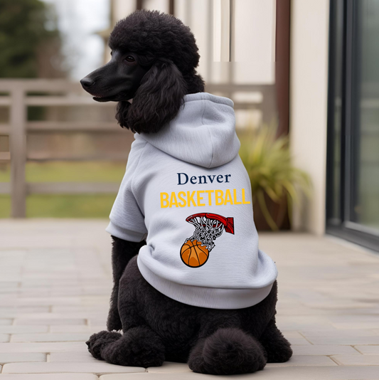 Denver Basketball