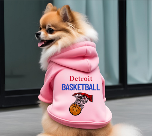 Detroit Basketball