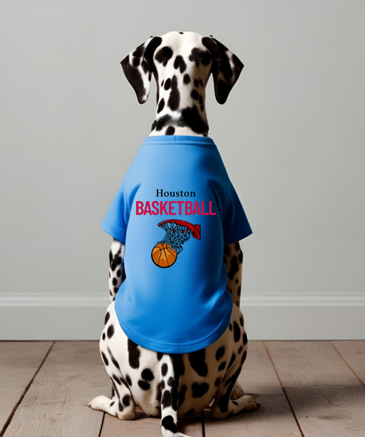 Houston Basketball