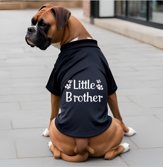 Little Brother