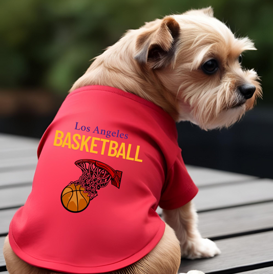 Los Angeles Basketball
