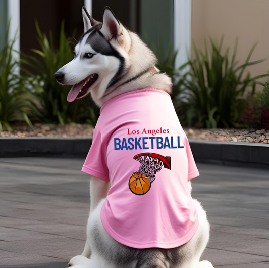 Los Angeles Basketball