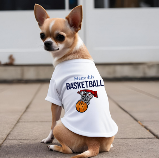 Memphis Basketball