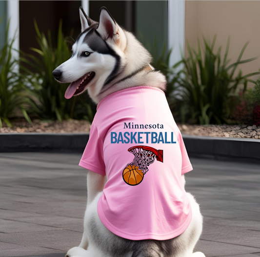 Minnesota Basketball