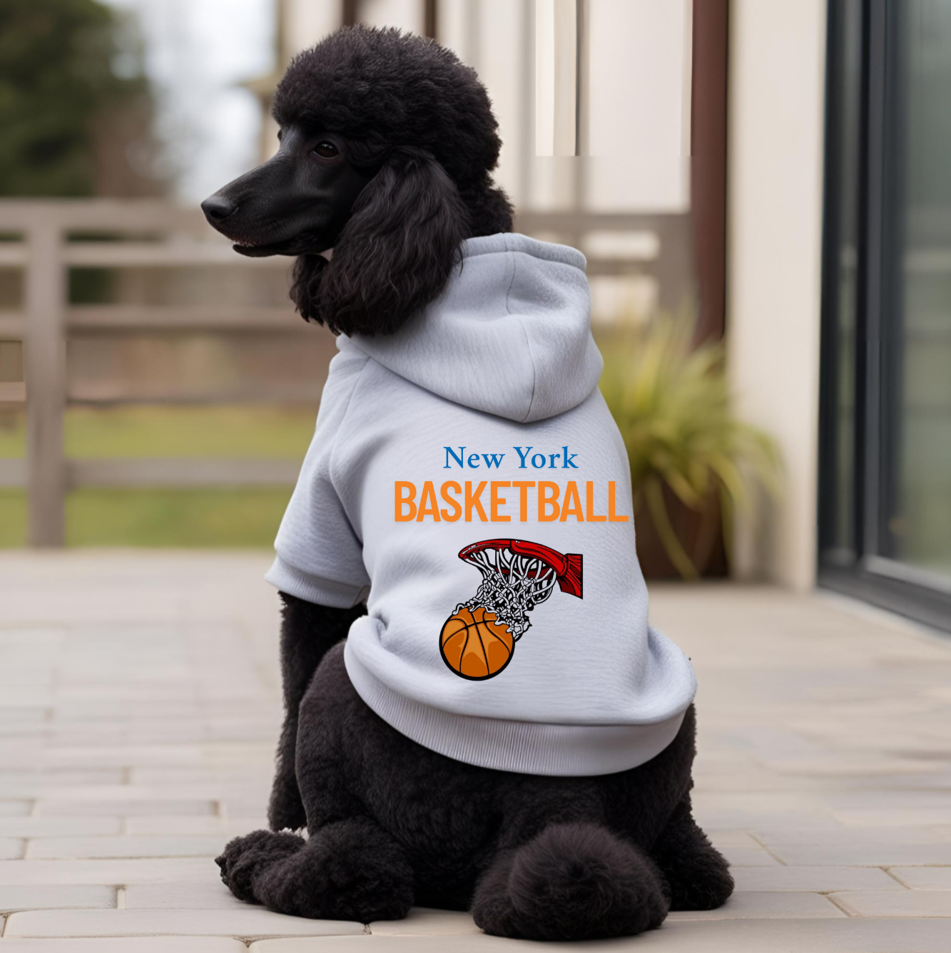 New York Basketball