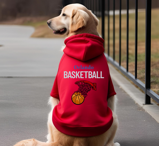 Orlando Basketball
