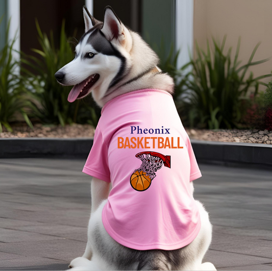 Pheonix Basketball