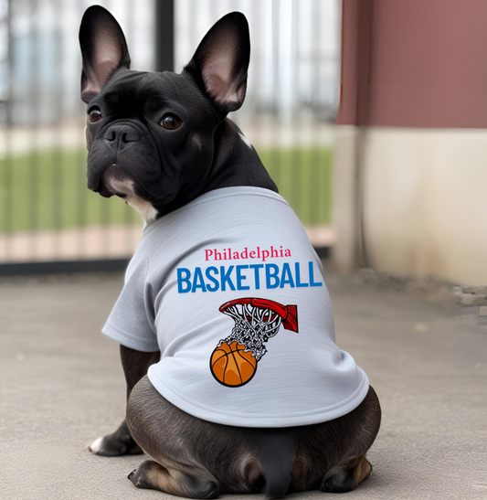 Philadelphia Basketball