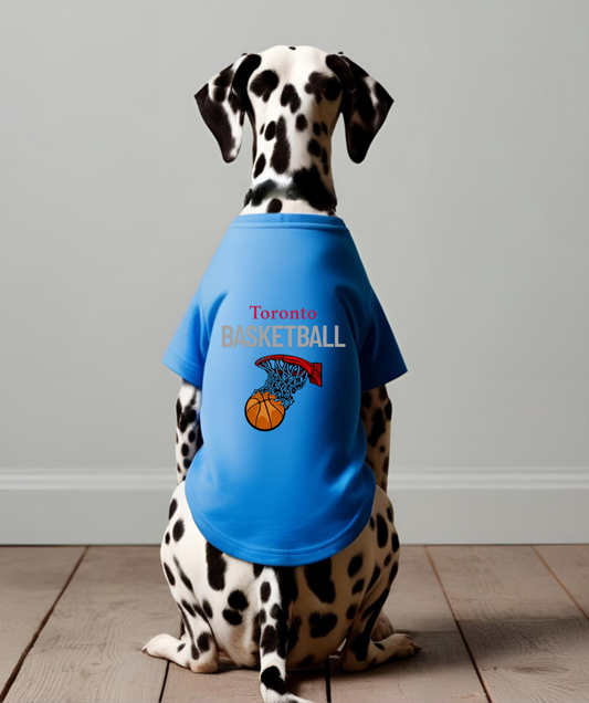 Toronto Basketball