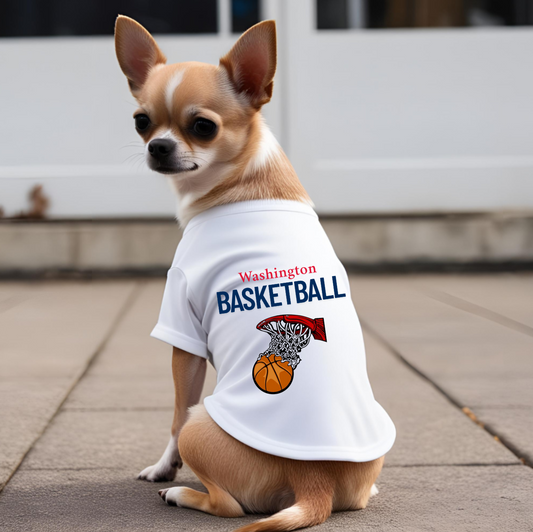 Washington Basketball